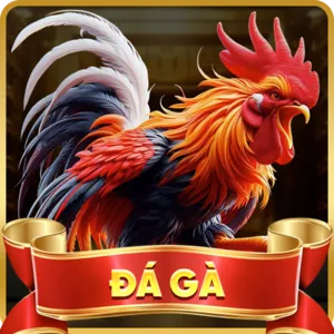 Cá cược Thể thao fu88 cổng game chính thức